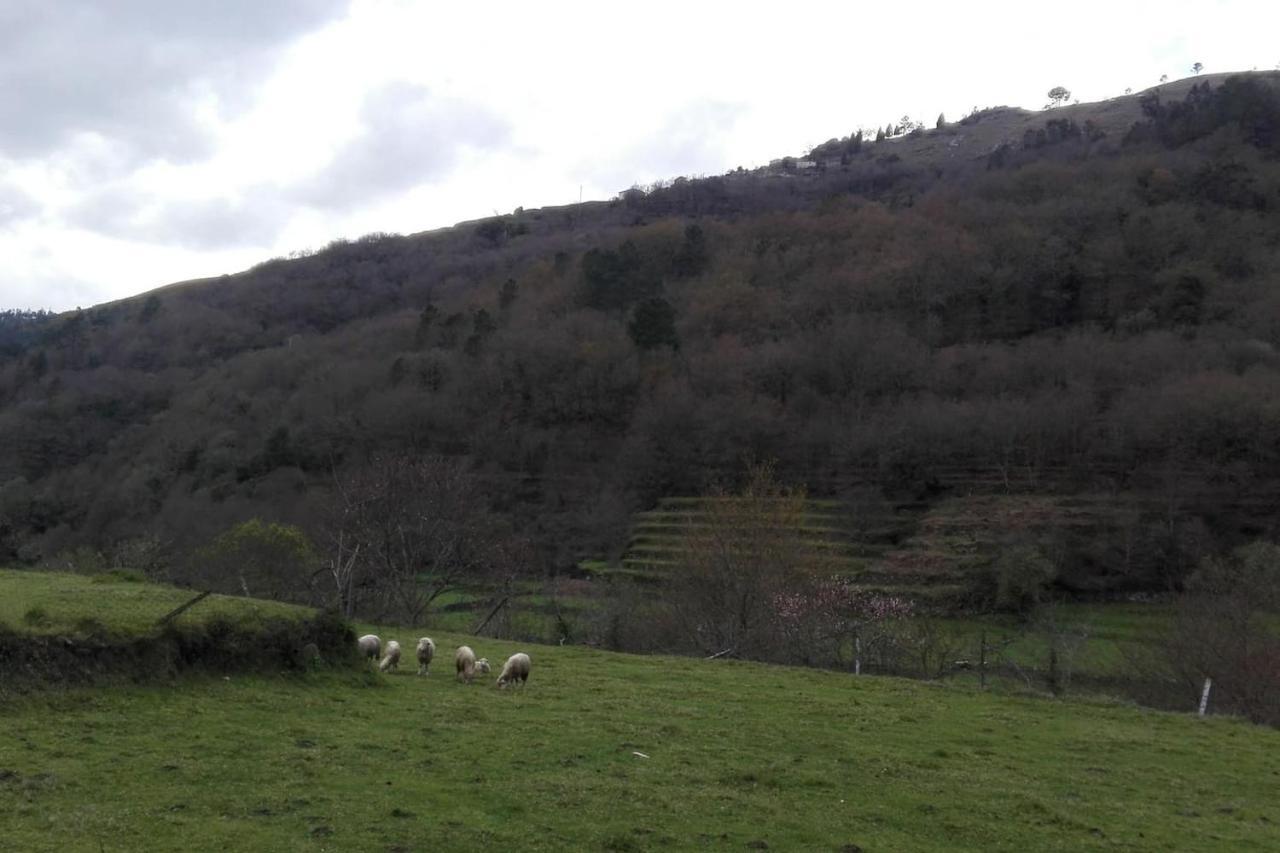 Quinta Da Imaculada Villa Arcos de Valdevez Kültér fotó