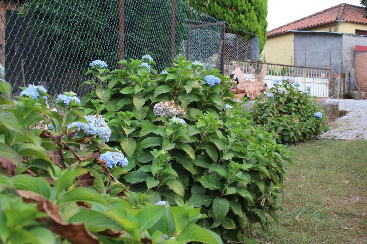 Quinta Da Imaculada Villa Arcos de Valdevez Kültér fotó